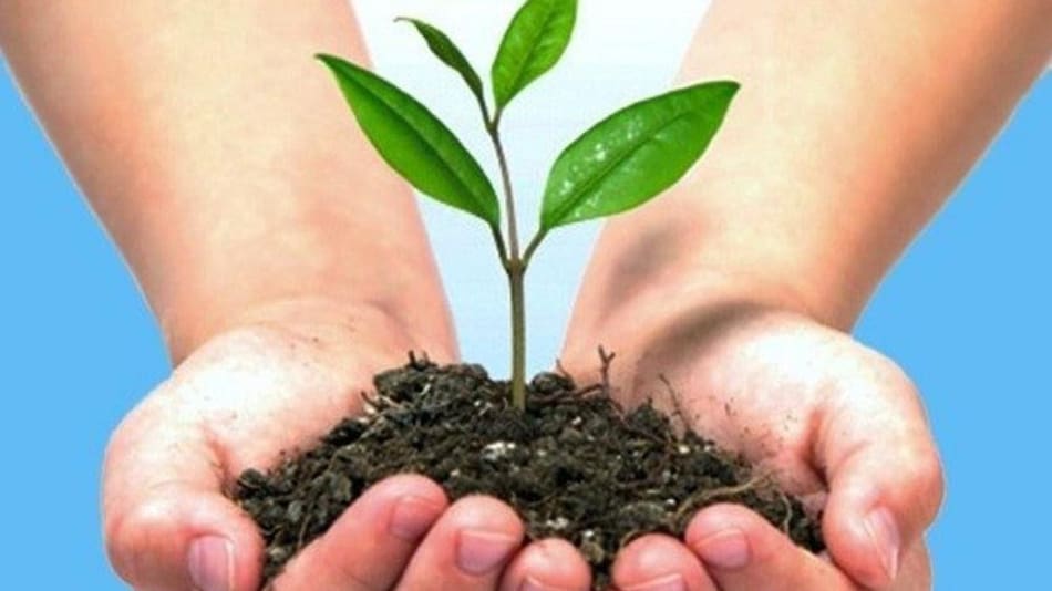 Medio Ambiente, Naturaleza, Ecología