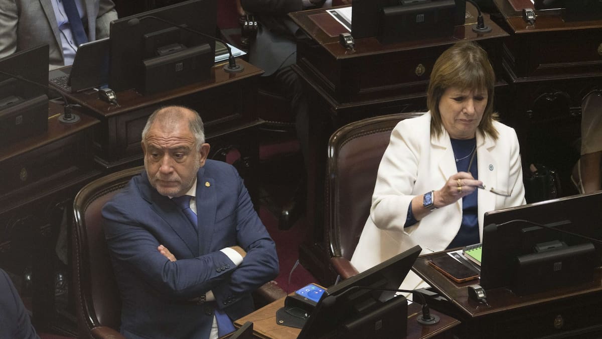 Patricia Bullrich y Luis Juez.
