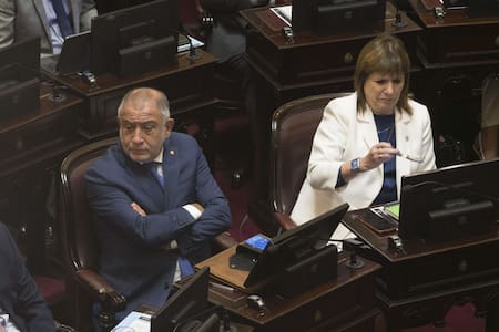Patricia Bullrich y Luis Juez.