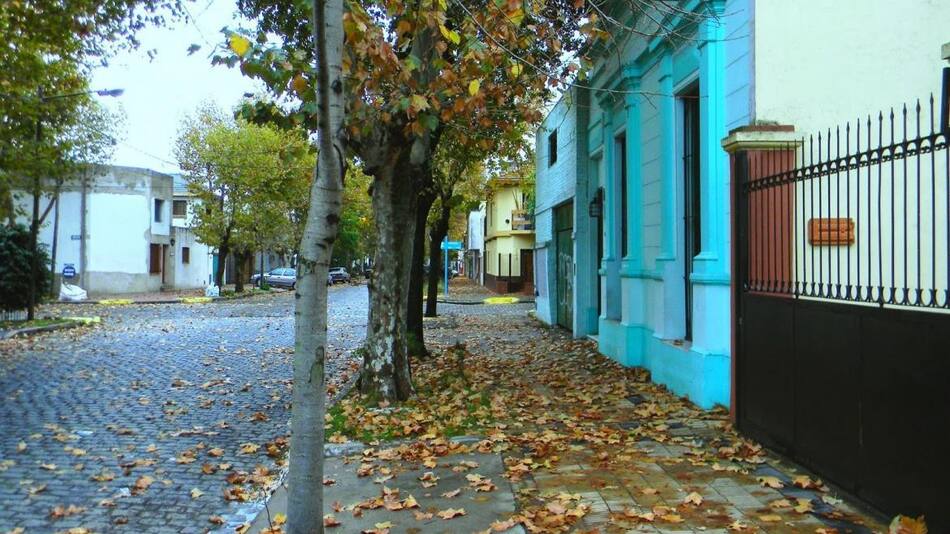 ¿Por qué este año el Otoño comienza el 20 de marzo?