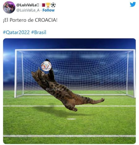 Meme 6; Brasil-Croacia. Foto: Twitter.