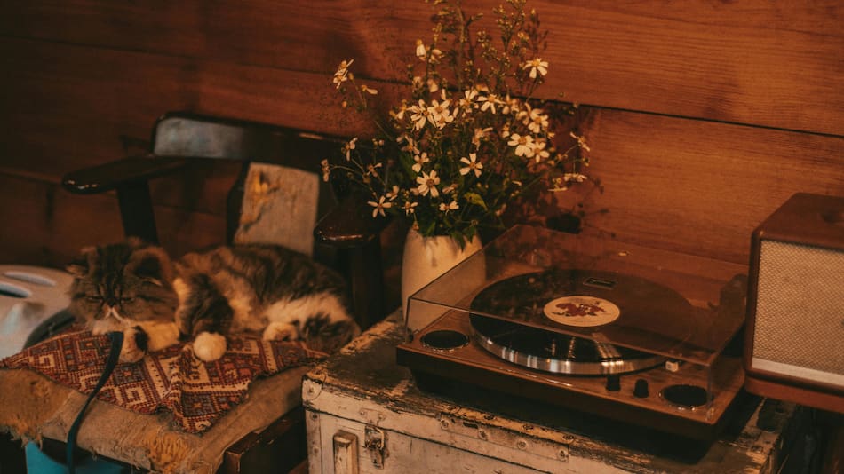 Una decoración sustentable es ideal para reconfortar hogares. Foto: Pexels.