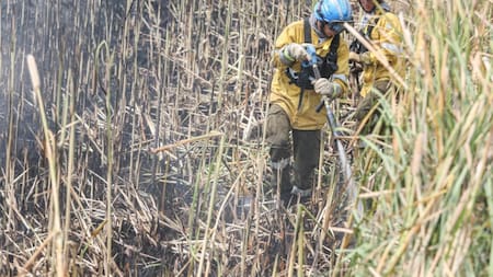 Incendios en Corrientes: luego de la lluvia y el alivio, quedan siete focos activos