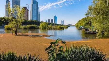 Planes para hacer en CABA. Foto @reservaecologicasur