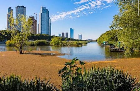 Reserva Ecológica Costanera Sur. Foto Instagram @reservaecologicasur