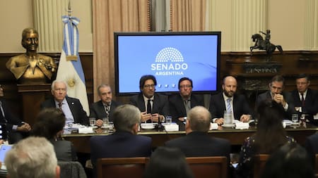 Ministro de Justicia Germán Garavano en Senado del Congreso Nacional, debate del proyecto de ley de nuevo Código Penal NA