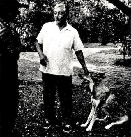 La perra Rina ayudó a la policía a encontrar al asesino