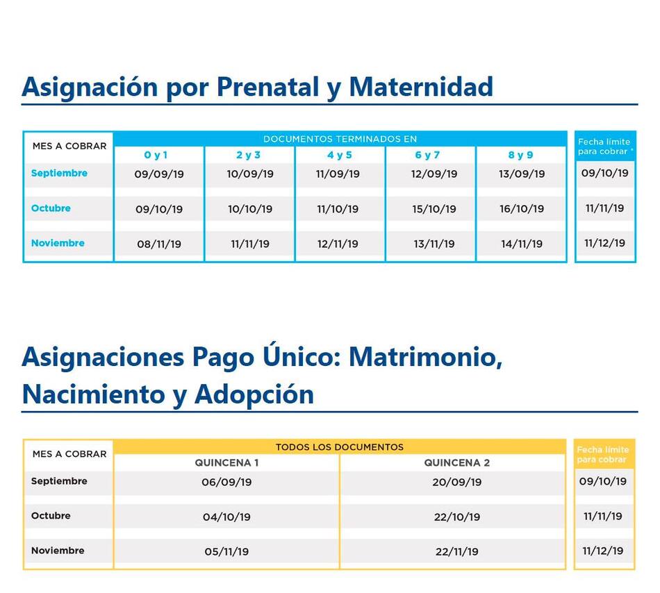 Anses, cronograma de pagos septiembre 2019, asignación por Prenatal y Maternidad