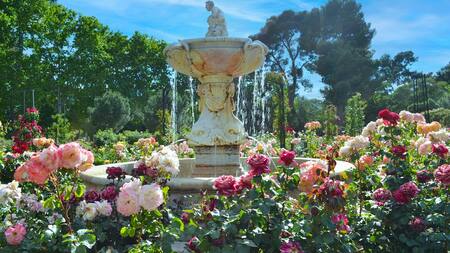 Jardín con flores y plantas.