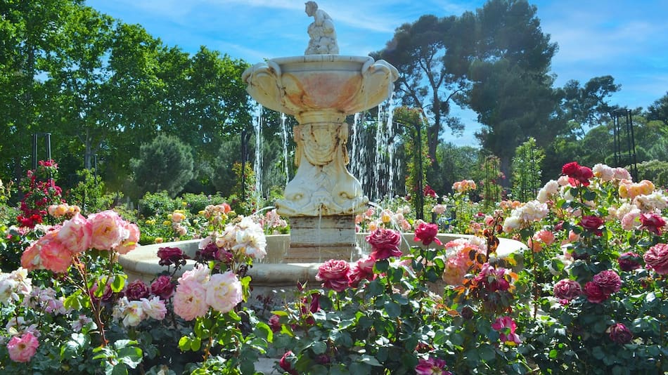 Jardín con flores y plantas.