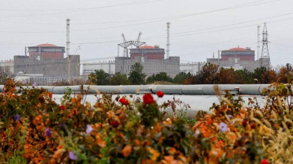 Central nuclear de Zaporiyia. Foto: Reuters.