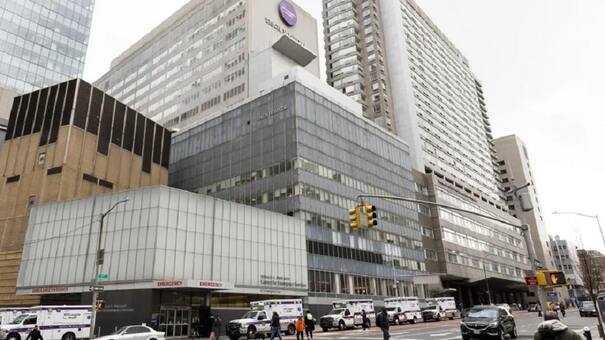 Logran transplantar con éxito corazones de cerdo modificados a humanos fallecidos