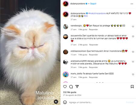 Los gatos de Daniela Cardone. Foto Instagram