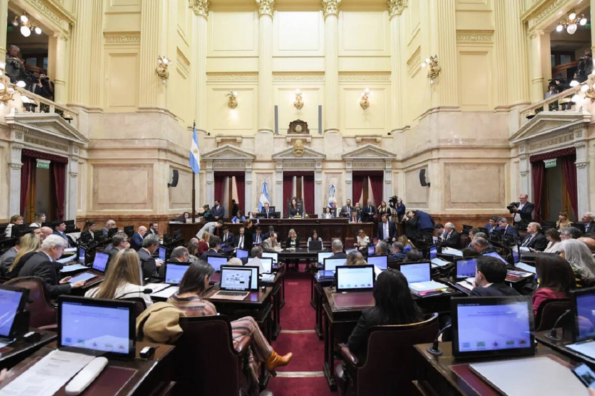 Senadores. Foto: NA