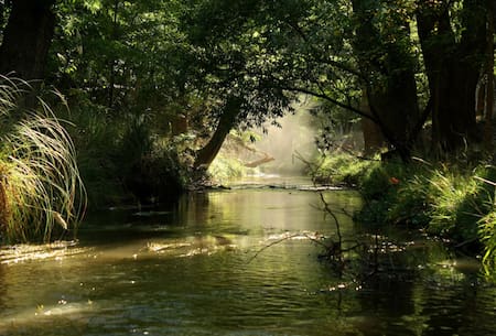 Las Encadenadas, Carhué. Foto: Turismo Carhué