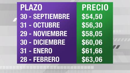 Dólar futuro, cotizaciones septiembre 2019 febrero 2020, economía argentina, CANAL 26