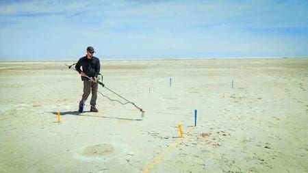 Huellas en el Parque Nacional White Sands, Estados Unidos. Foto: X
