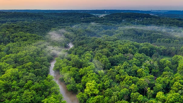 Polémica en Brasil: subastan concesiones petroleras que incluyen áreas vulnerables cercanas al río Amazonas