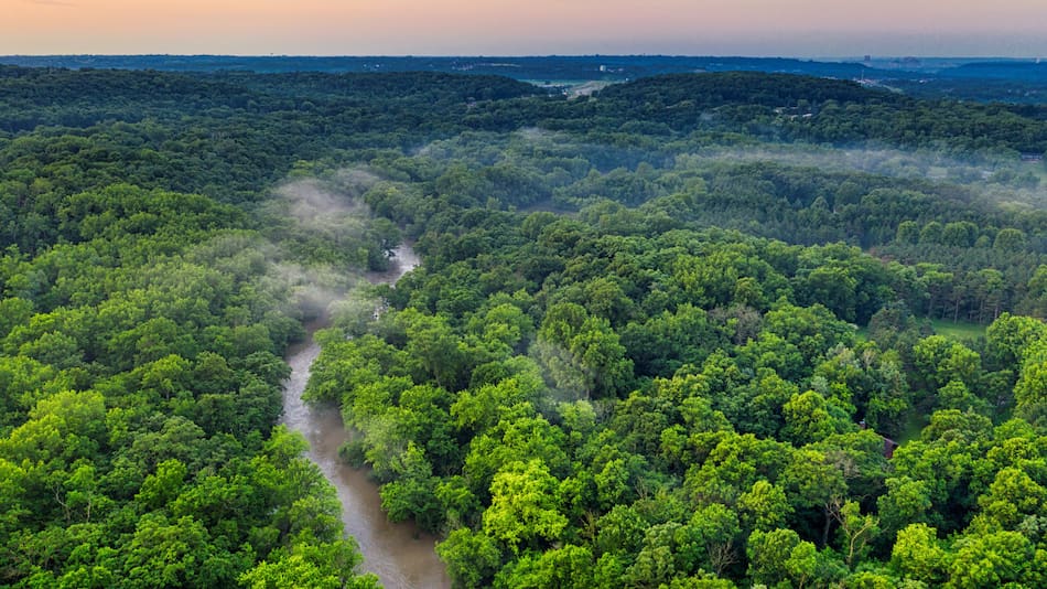 Río Amazonas. Foto: Pexels