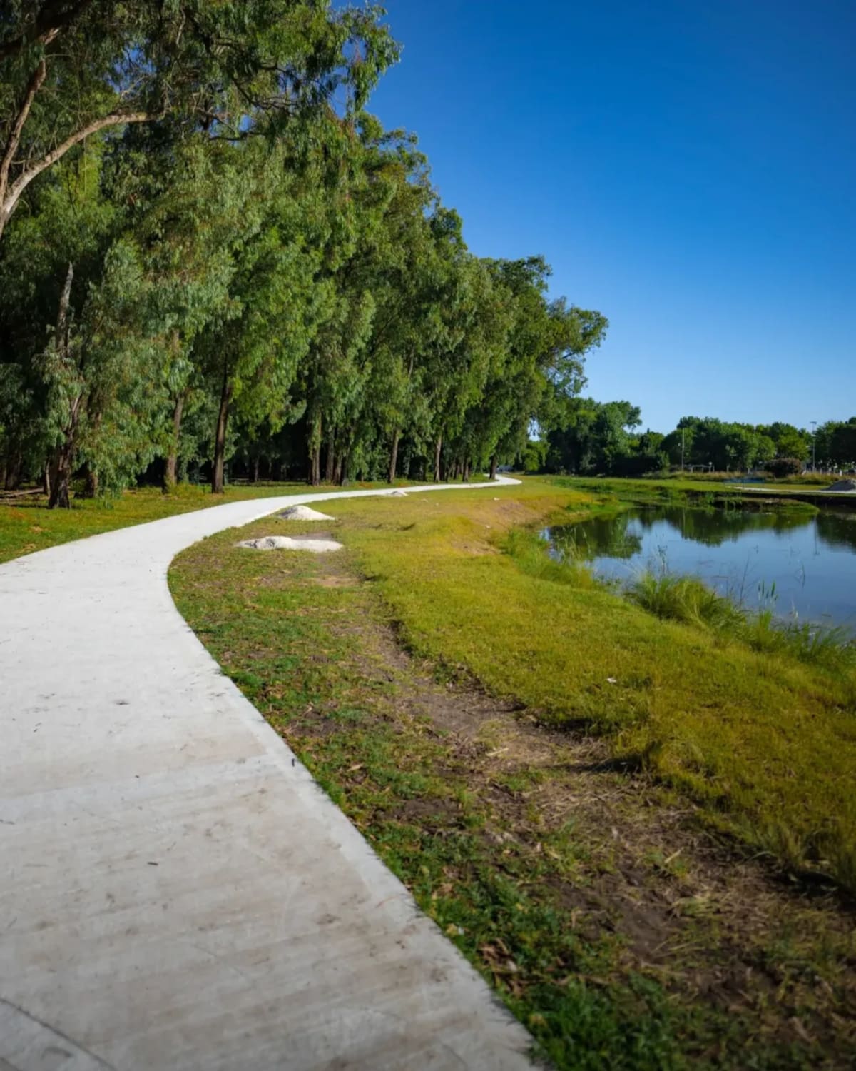 La joya escondida de Buenos Aires con lagunas, historia gaucha y paisajes ideales para descansar
