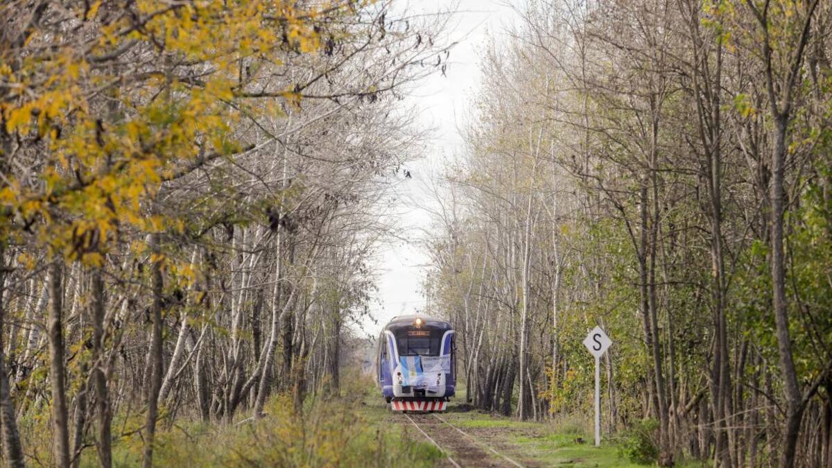 Pusieron en marcha el tren turístico que une Mercedes y Tomás Jofré. Foto: Télam