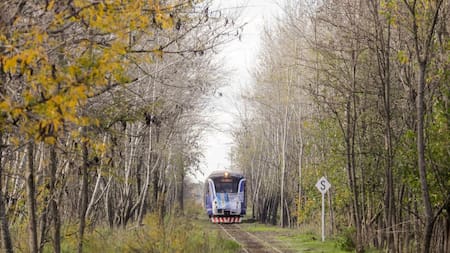 Pusieron en marcha el tren turístico que une Mercedes y Tomás Jofré. Foto: Télam