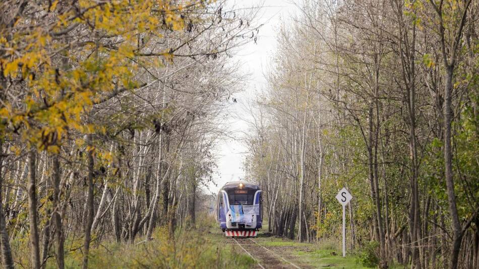 Pusieron en marcha el tren turístico que une Mercedes y Tomás Jofré. Foto: Télam