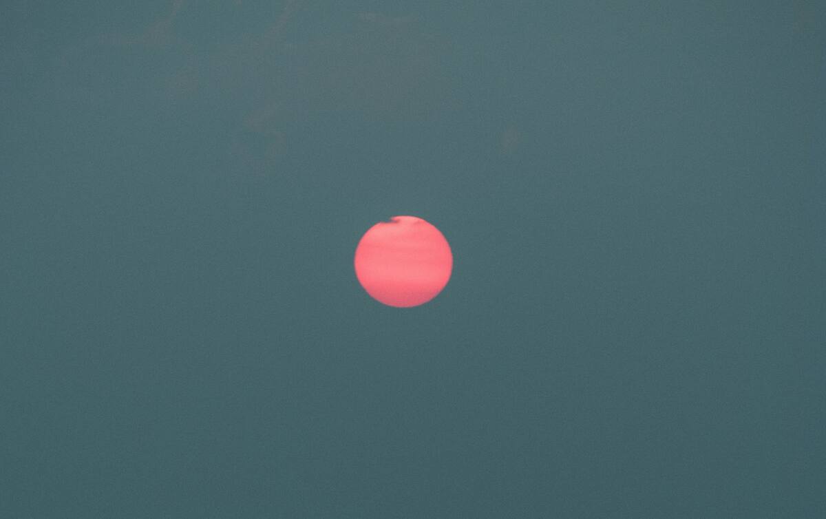 Luna Rosa. Foto: Unsplash.
