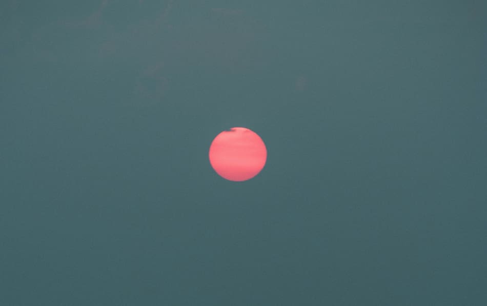 Luna Rosa. Foto: Unsplash.