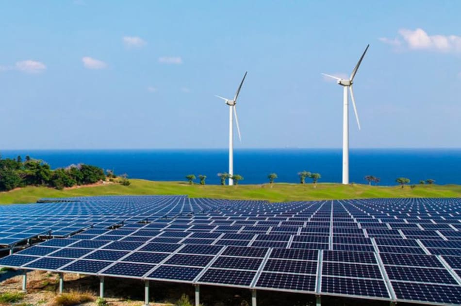 Energía verde. Foto: Télam.