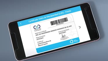 Certificado Único de Discapacidad 2025: cómo obtener pasajes de larga distancia gratis