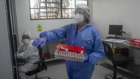 La OMS expresó su preocupación por el aumento de casos de viruela del mono en Brasil