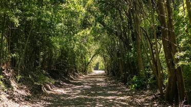 Animales, río y naturaleza a horas de CABA: la nueva reserva ecológica ideal para conectar con la naturaleza