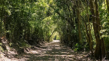 Animales, río y naturaleza a horas de CABA: la nueva reserva ecológica ideal para conectar con la naturaleza