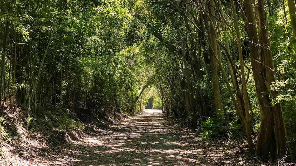 EcoParque San Fernando.