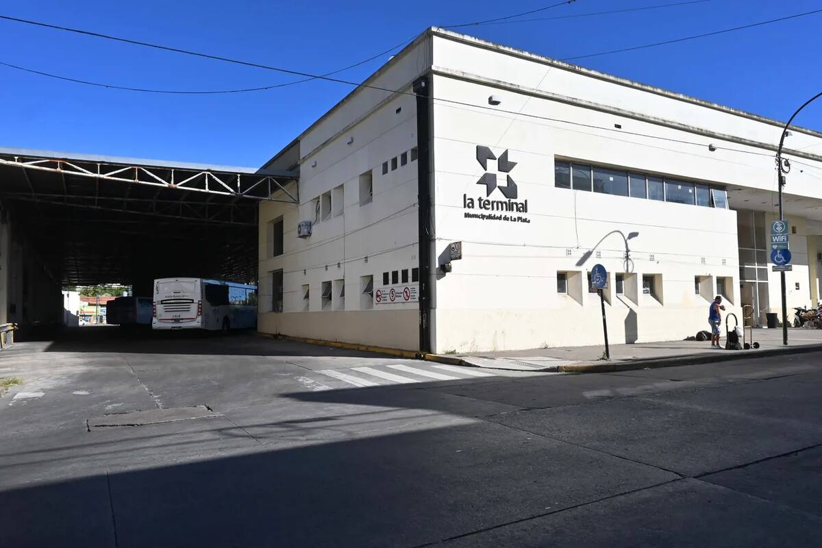 Proyecto para modificar el transporte público de La Plata.