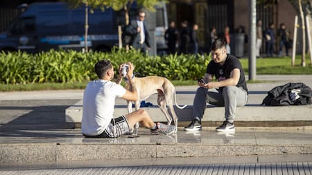 La tercera semana de febrero comenzará sin lluvias ni tormentas.