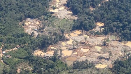 Amazonia de Ecuador. Foto: EFE.