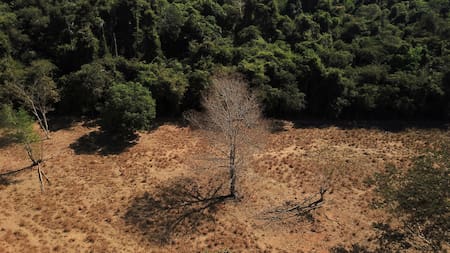 Amazonía. Foto: Reuters.