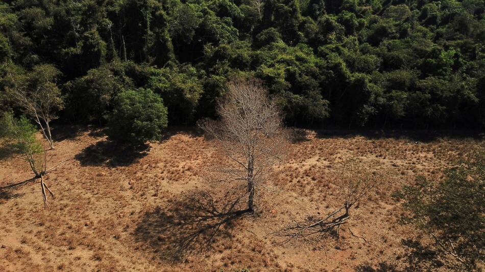 Amazonía. Foto: Reuters.