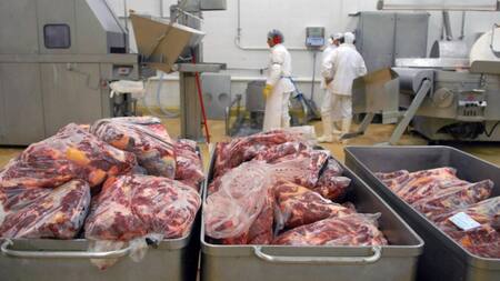 Carne, frigorífico, carne argentina, exportación de carne, NA