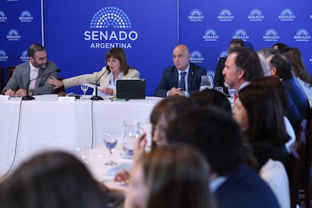 Reunión Plenaria de las comisiones de Trabajo y Previsión Social y de Presupuesto y Hacienda, en el salón Azul del Senado de la Nación