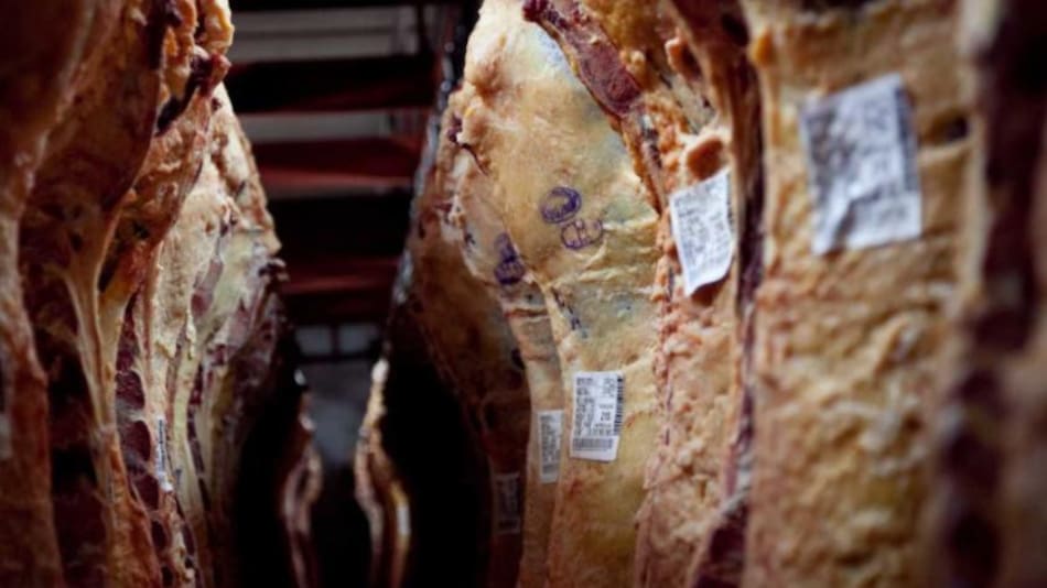 Carne, economía argentina, NA