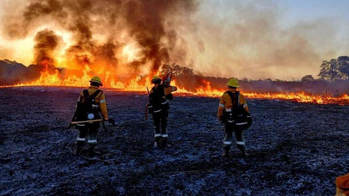 Voraz incendio en Jujuy: las llamas obligaron a cortar la Ruta 9 y hay un amplio operativo