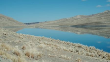 Sequía en Bolivia. Foto: Twitter/@EvaCopabo