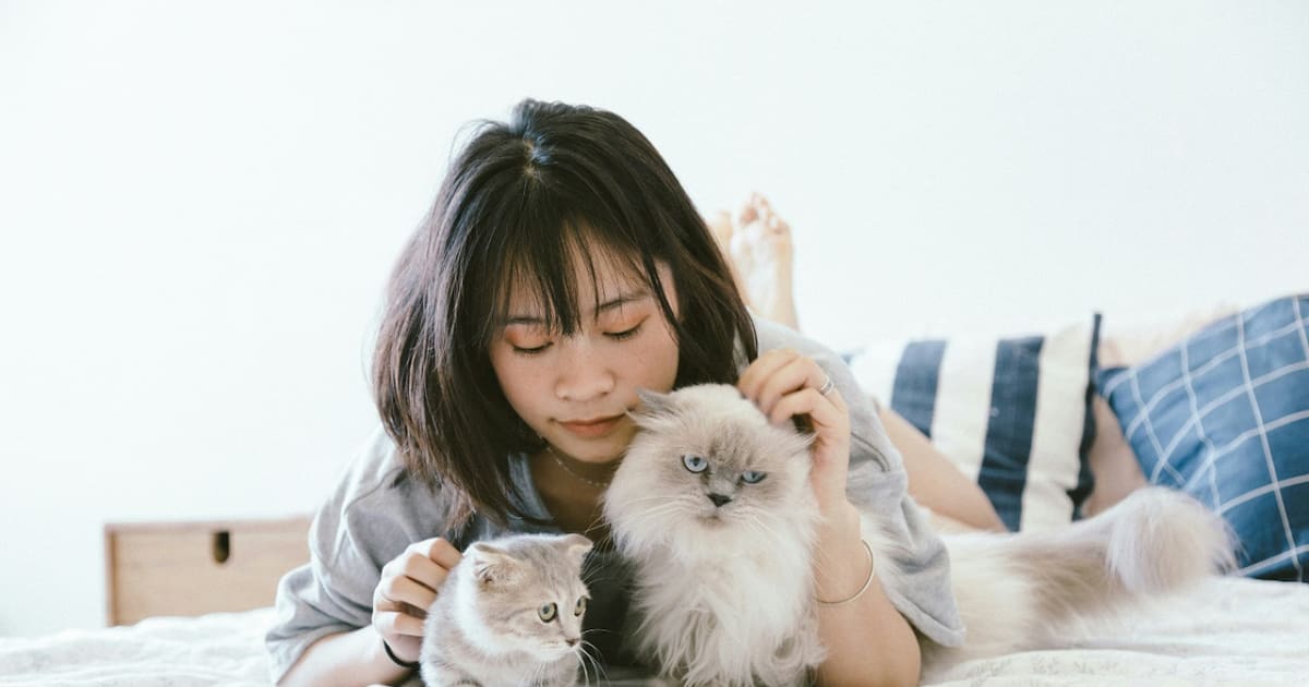 Las cinco conductas que indican que un gato está incómodo con una ...