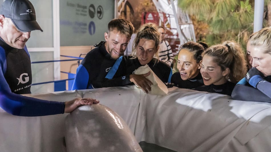 Traslado de dos belugas. Foto: EFE