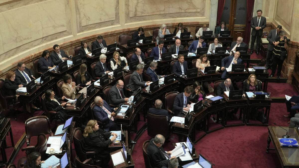 Debate de Ficha Limpia en el Senado. Foto: NA.