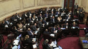 Juran 23 de los 24 senadores electos: qué pasa con el caso de Lorena Villaverde
