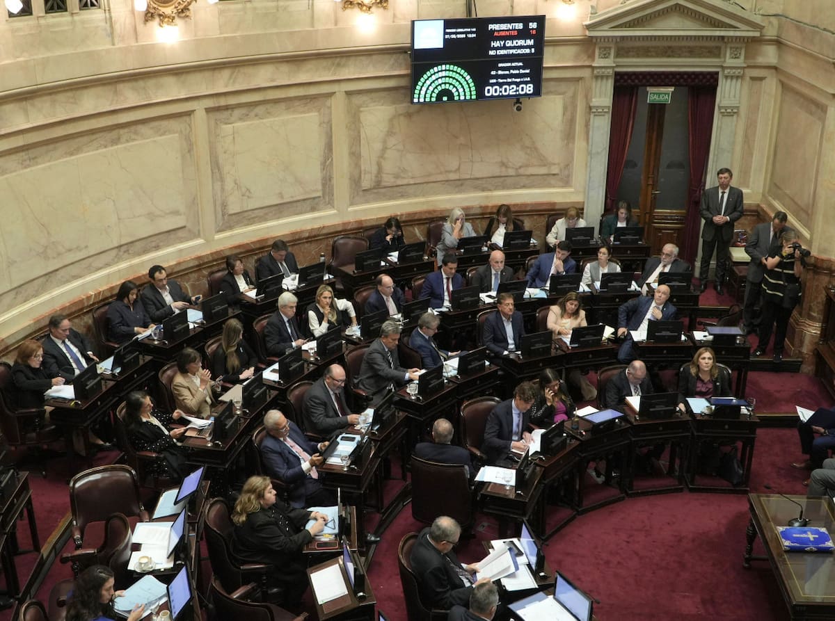 Debate de Ficha Limpia en el Senado. Foto: NA.